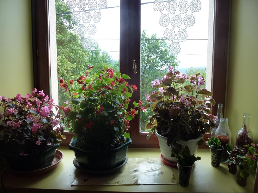 Bed & Breakfast Le Rocher Des Ducs, Vue Sur Montagne, Abris Voitures Et Motos